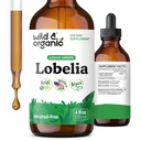 Wild & Organic Lobelia Tinktur - Lung Detox og Cleanse - flytende Lobelia Herb Supplement - Vegan, Sukker & alkoholfri ekstraktdråper - 4 fl oz