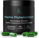 Marine Phytoplankton Capsules by Holistisk Bin | Naturlig dyrket i nordisk sjøvann | Vegansk Omega 3 Supplement | Rik på Aminosyrer, klorofyll, vitaminer, og spor Mineraler