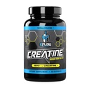eFlow Creatine Capsules, HCL Creatine piller - Kreatin Supplement for menn og kvinner, muskelbygger, utholdenhet, styrke, med AstraGin og Senactiv (1500mg, 90 kapsler)