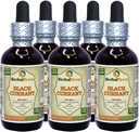 Svart currant (Ribes nigrum) Tinktur, Tørket blader flytende ekstrakt (Brand navn: HerbalTerra, stolt laget i USA) 5x2 fl.oz (5x60 ml)