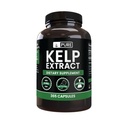 Rene originale ingredienser Kelp Extract (365 kapsler) Ingen magnesium eller Rice fyllstoffer, alltid ren, Lab verifisert