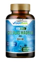 Celulas Madres AFA Stem Naturell Cell 120 Kapsler 1000 mg Blå Grønn Algae Ikke GMO Glutenfri Aphanizomenon Flos-aquae celula Madre supplement
