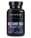 Leviathan Betaine HCl med Pepsin & Ginger - Digestive Enzymer Supplement for Digestion Aid & Support, Magesyre & Nutrient Absorpsjon