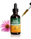 Herb Pharm Certified Organic Super Echinacea flytende ekstrakt drops for aktiv immunsystem støtte, 2 Oz