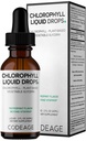 Codeage Klorofyll flytende dråper Supplement - Vegansk Klorofyll 50 mg per servering, organisk Peppermynte Flavor Clorofila Drink - Ikke-GMO, Glutenfri, Vegansk - 2 fl oz