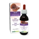 Naturalma Reishi (Ganoderma lucidum) Fungus eller Mushroom alkoholfri tinktur - 4 fl oz flytende ekstrakt i dråper - Herbal Supplement - Vegan