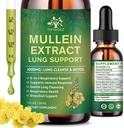 (2 Pack) 6 I 1 Mullein Drops for Lungs, Organic Mullein Leaf Ekstrakt Tinktur for Lungs, Detox Renser og puster for pustende helse, Mullein olje Supplement Immunstøtte, Vegan, 1 Fl Oz
