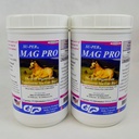 SU-PER Mag Pro hest beroligende kosttilskudd - støtte normal oppførsel og beroligende effekt - Magnesium Supplement for hester - 4 pund, (2 pakke)
