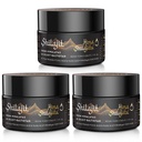 Shilajit Purest Himalayan Organic Shilajit Resin - Gullklasse 100% renhet Shilajit med Fulvic Acid & 85+ Trace Minerals Complex for energi og immunstøtte, pakke med 3 (6 måneders forsyning)