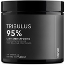 Tribulus terrestris for menn - Ultra høy styrke 25:1 ekstrakt med 95% saponiner - 1300 mg ren & konsentrert formel - tredjeparts Lab testet for renhet og kvalitet - 240 kapsler