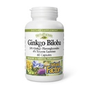 HerbalFactors by Natural Factors, Ginkgo Biloba, støtter minne, mental ytelse og sunn hjernefunksjon, 60 kapsler (60 porsjoner)