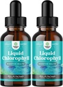 Mint Flavored Klorofyll flytende dråper - Vegansk væske klorofyll dråper for immunstøtte Gut Hudpleie Detox lever støtte energi og dårlig ånde - høy potens intern deodorizer - 2 pakke