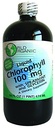 World Organics flytende klorofyll flytende med Spearmint, 16 Fluid Ounce