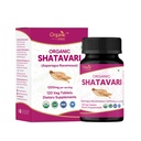 Shatavari 120-tabletter Asparagus Racemosus (Shatavari) USDA Økologisk sertifisert | Støtter kvinners helse og immunsystem | Diett Supplement 120tab