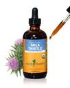 Herb Pharm Melk Thistle frø ekstrakt for leverfunksjon støtte - 4 Ounce (DMILK04)