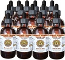 Hvit Pine flytende ekstrakt, Hvit Pine (Pinus Strobus) Bark pulver tinktur, Herbal Supplement, Hawaii Pharm, laget i USA, 15x4 floz