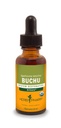 Herb Pharm Certified Organic Buchu flytende ekstrakt for urinsystem støtte, 1 Fl Oz