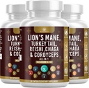 Mushroom Supplement med Lions Mane Tyrkia Tail Reishi Cordyceps Chaga Marshmallow Root - 180 Count