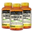 MASON NATURAL Hele urten Ginger 500 mg, 6 måneders forsyning, Naturlig Herbal Supplement, 60 kapsler (3 pakke)
