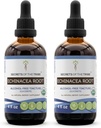 Echinacea Root USDA Økologisk Tinktur | Alkoholfri ekstrakt, høy potens Herbal Drops, Immunsystem Helse | laget av 100% sertifisert økologisk Echinacea Root (Echinacea Purpurea) 2x4 oz