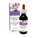 Naturalma Sørafrikanske Pelargonium eller Umckaloaba (Pelargonium sidoider) Root alkohol-fri tinktur - 4 fl oz flytende ekstrakt i dråper - Herbal Supplement - Vegan