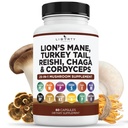 Lions Mane Mushroom Supplement med Tyrkia Tail Reishi Cordyceps Chaga med Marshmallow Root - 1-Pack