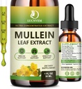 (2 Pakke) 98% Absorpsjon Mullein Drops for Lungs, kraftig 5 i 1 Mullein Leaf Herbal Blanding Ekstrakt, Naturlig Lungs Support Supplement for Lungs Cleans & Detox og pustende lunge helse