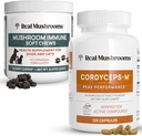 Ekte Mushrooms Cordyceps for mennesker (120ct) & Mushroom Immune Kjæledyr Chews (60ct) - Bundle for energi, Vitalitet og immunitet - Ashwagandha, Astragalus og mer - Vegan, ikke-GMO, Glutenfri, Kornfri