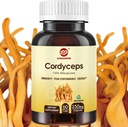 Cordyceps Capsules, Mushroom Extract Supplement pulver med 31% Beta Glucan for ytelse, energi og immunsystem støtte, 700 mg, 60 greve, organisk og vegansk