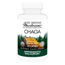 Host Defense Chaga Capsules - immunsystem støtte supplement - Chaga Mushroom Capsules for antioksidant aktivitetsstøtte - Dietary Mushroom Supplement - 120 Capsules (60 Serveringer)*