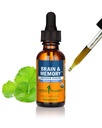 Herb Pharm Organic Nootropic Brain & Minne Supplement med Ginkgo Biloba flytende ekstrakt: Rask absorpsjon for Mental Focus Support, Ginkgo Supplement, Vegan, Glutenfri, Ikke-GMO, 1 Oz