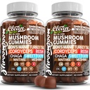 15in1 Mushroom Gummies med Lions Mane Tyrkia Tail Cordyceps Reishi Chaga Sweet Toot Maitake Meshima Poria Cocos Shiitake Tremella, Oyster Agaricus Mushrooms for menn og kvinner Supplement - 2Pack