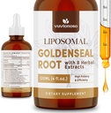 Goldenseal Root Extract 3000mg for immun- og andningsvelvære - Rask absorbering | Sukkerfri | Vegansk | 4 Fl Oz