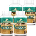 Spermidin Supplement 15 MG - 99% Renhet, høy absorpsjon, 1500 MG Fermentert Wheat Germ ekstrakt med sink & tiamin, Spermidin for menn og kvinner - Cellular Renewal, Aging Defense, Energi, 240 Softgels