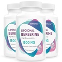 Berberine HCL Supplement 1500mg - høy biotilgjengelighet Liposomal Berberine Capsules for kvinner og menn, AMPK aktivator for kardiovaskulær helse, sukkerfri, ikke-GMO, 180 Softgels
