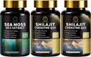 Sea Moss og Shilajit Capsules for menn og kvinner, Alle i 1 Kosttilskudd med Shilajit, Sea Moss, Coenzym Q10, Black Seed, Ashwagandha, Burdock for energi, Antioksidant og immunstøtte