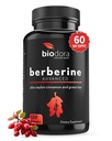 Berberine Advanced Plus med 1200 mg Berberine - 100mg Ceylon kanel og 100mg grønn te ekstrakt - 1400mg per dose -120 kapsler - 60 dagers forsyning - støtter immun- og kardiovaskulær
