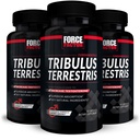 FORCE FACTOR Tribulus Terrestris for menn, 3-Pack, Tribulus Testosteron Booster for menn, Mann Vitality Supplement, Tribulus ekstrakt & naturlige ingredienser for overlegen absorpsjon, 1000 mg, 180 kapsler