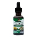 Naturens svar Dong Quai støtte supplement - kvinnelig hormonal støtte, kvinnelig velvære supplement, flytende ekstraksjon, alkoholfri, glutenfri, Kosher - 1 oz
