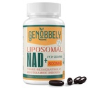 800 mg Liposomal NAD+ Supplement med Nikotinamid Riboside 200 mg, Trans-Resveratrol 100 mg - True NAD Supplement for DNA-reparasjon, sunn aldring, hjernefunksjon - 60-dagers levering