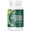 Liposomal Glutation 2000 MG, Superior Absorpsjon, Glutation Supplement med Hyaluronsyre + Collagen Peptid + Resveratrol, Kraftig Antioksidant, Helse Aging, 60 Antall