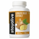 STAY ALIVE ren Ginger Root Capsules 1000 mg, 10:1 Ekstrakt pulver med 5% Gingerols, 120 piller, ekstra styrke rotpulver, vegansk, ikke-GMO og glutenfri Ginger Supplement