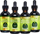 Go Nutrients Cold & Immune Bundle - Selenium, vitamin D3/K2, Immun Booster, Flytende Klorofyll – Kraftig støtte for immunsystemet, styrker kroppens forsvare, kjerne og vitalitet, styrke pusten