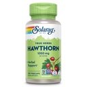 SOLARAY Hawthorn Berry Capsules 1050 mg - Soothing Herbal Support - Hawthorne Berry Supplement for generelle velværestøtte - Hele Berry, Vegan, Ikke-GMO, 60 dagers garanti, 50 serveringer, 100 Vegkaps