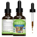 Kjæledyr velvære unge i hjertet for hunder - hjertehelse, sirkulerende og kardiovaskulære system, hawthorn, mormormor, Schisandra - veterinærformulert herbal Supplement 2 fl oz (59 ml)