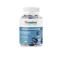 Himalaya Ashwagandha Organic Gummies, KSM-66 Organic Ashwagandha å hjelpe med stress relief, energi og avslapning, 60 gummer med Delicious BlackBerry Flavor
