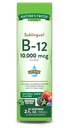 Naturens sannhet sublingual vitamin B-12 10.000 Mcg, raskvirkende flytende, naturlig berry flavor, 2 flytende havre (pakke med 1)