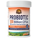 Vitalitown Probiotika 120 milliarder CFUs, 36 Strains, Prebiotika, Digestive Enzymer for menn kvinner, forsinket frigjøring, hyllestabil, på Go Digestive Support, 30 Veg Caps