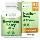 Rent Holistisk Hawthorn Berry - 150 Vegan Capsules - 5 måneders forsyning - høy styrke 4:1 ekstrakt - ikke-GMO Hawthorne Supplement - støtter kardiovaskulær og digestiv helse