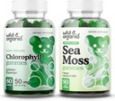 Wild & Organic Klorofyll Gummies & Sea Moss Gummies